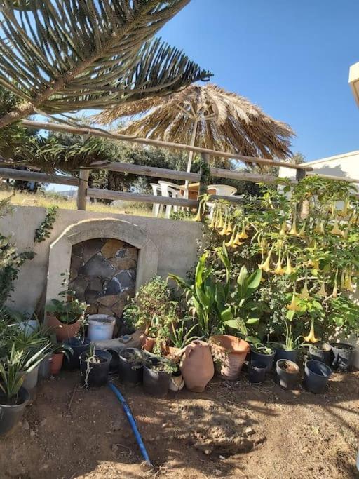 דירות Pachia Ammos Rena'S House מראה חיצוני תמונה