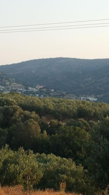 דירות Pachia Ammos Rena'S House מראה חיצוני תמונה